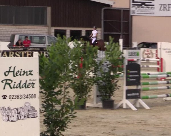 Vinnumer Reitertage 2015