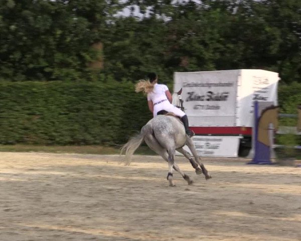 Vinnumer Reitertage 2015