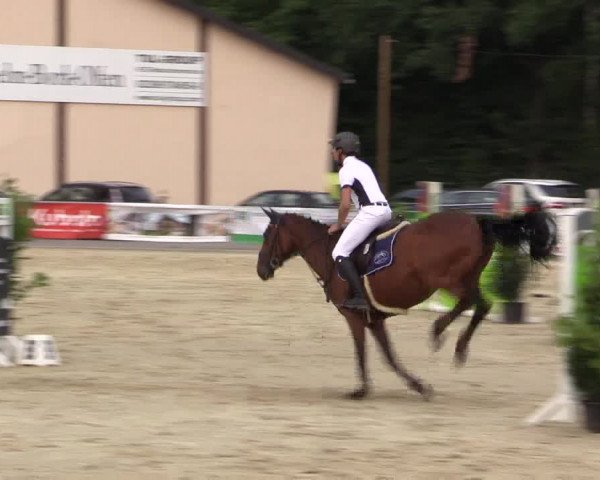 Vinnumer Reitertage 2015