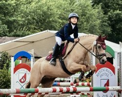 dressage horse Hesselteichs Golden Money (German Riding Pony, 2012, from Golden Atreju)