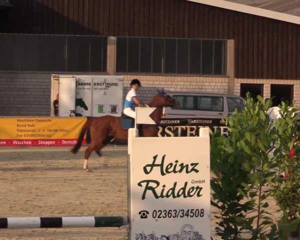 Vinnumer Reitertage 2015