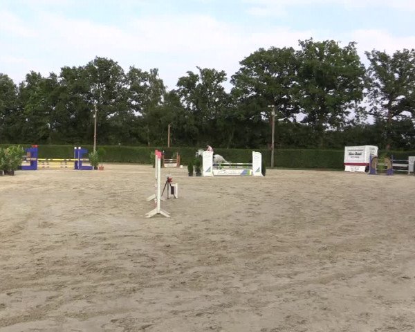 Vinnumer Reitertage 2015