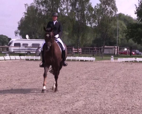 62. Lobbericher Reitsportfestival 2015