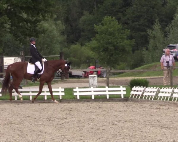 62. Lobbericher Reitsportfestival 2015