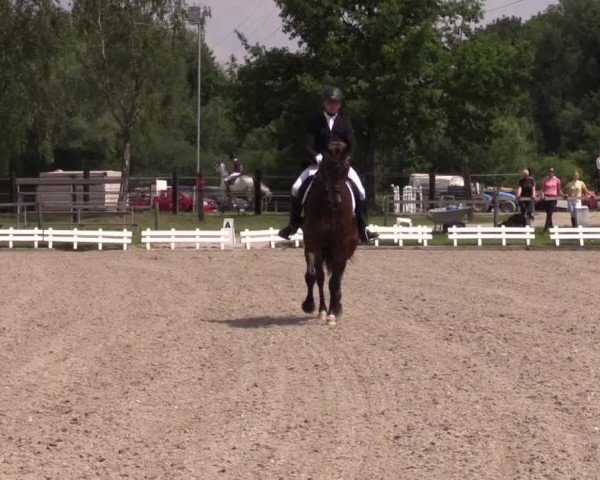 62. Lobbericher Reitsportfestival 2015