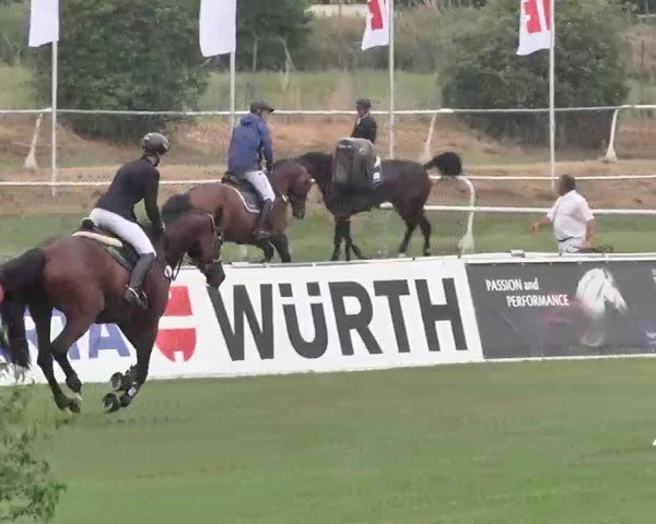 55. Süddeutsche Championate - Scharlachrennen 2015