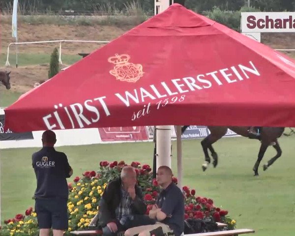 55. Süddeutsche Championate - Scharlachrennen 2015