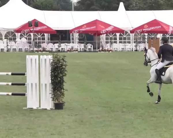 55. Süddeutsche Championate - Scharlachrennen 2015