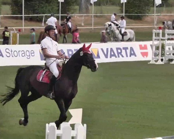 55. Süddeutsche Championate - Scharlachrennen 2015