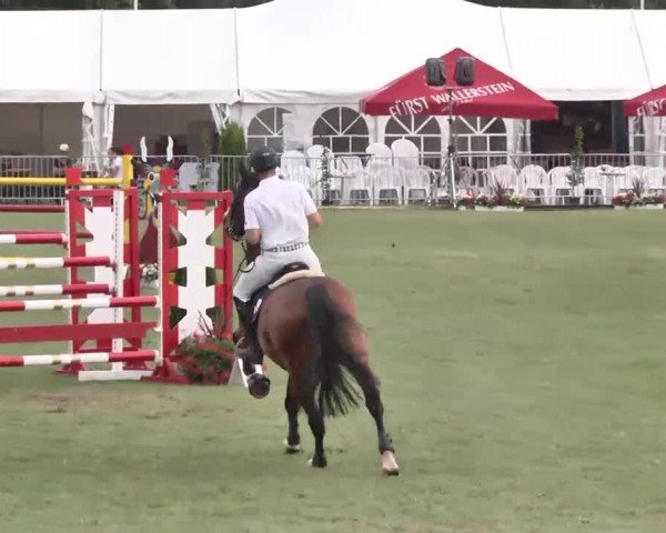 55. Süddeutsche Championate - Scharlachrennen 2015