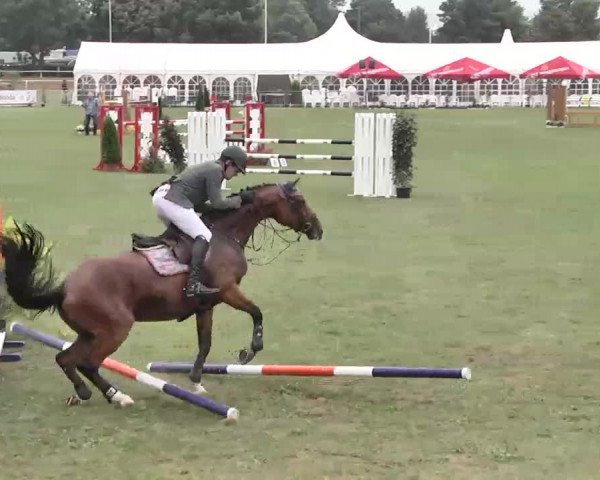 55. Süddeutsche Championate - Scharlachrennen 2015