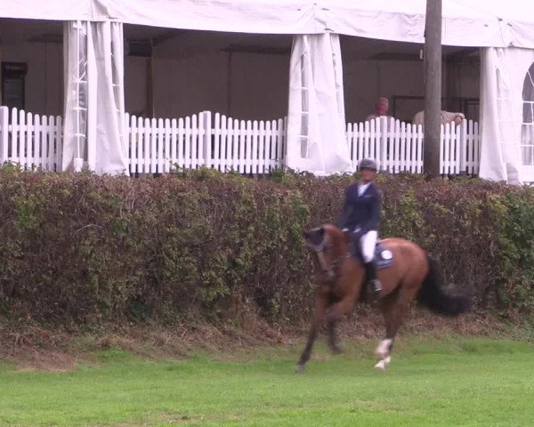 Reitturnier Vlotho-Exter 2015
