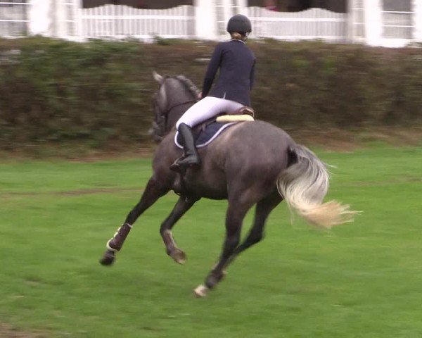 Reitturnier Vlotho-Exter 2015