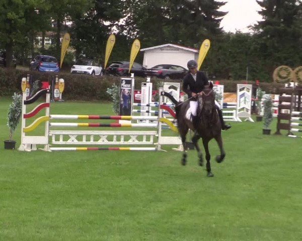 Reitturnier Vlotho-Exter 2015