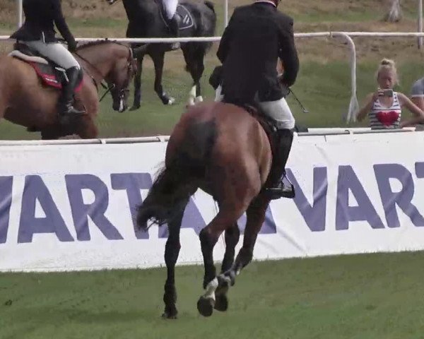 55. Süddeutsche Championate - Scharlachrennen 2015