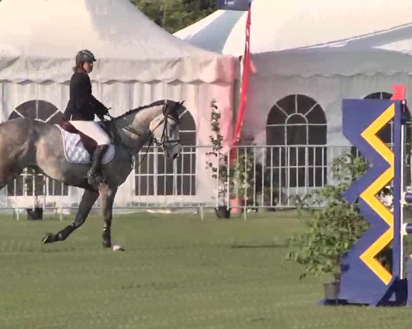 55. Süddeutsche Championate - Scharlachrennen 2015