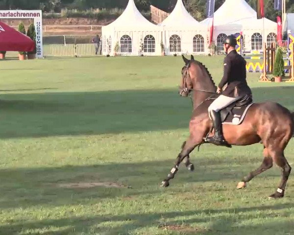 55. Süddeutsche Championate - Scharlachrennen 2015