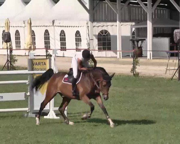 55. Süddeutsche Championate - Scharlachrennen 2015