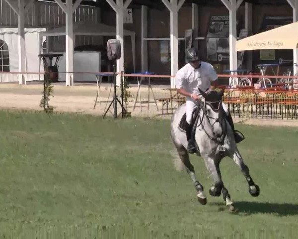 55. Süddeutsche Championate - Scharlachrennen 2015