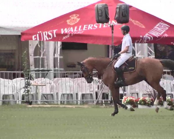 55. Süddeutsche Championate - Scharlachrennen 2015