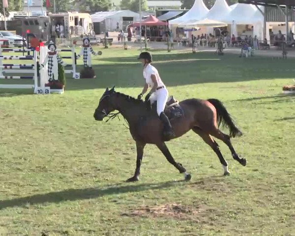 55. Süddeutsche Championate - Scharlachrennen 2015