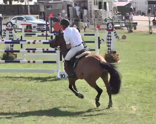 55. Süddeutsche Championate - Scharlachrennen 2015