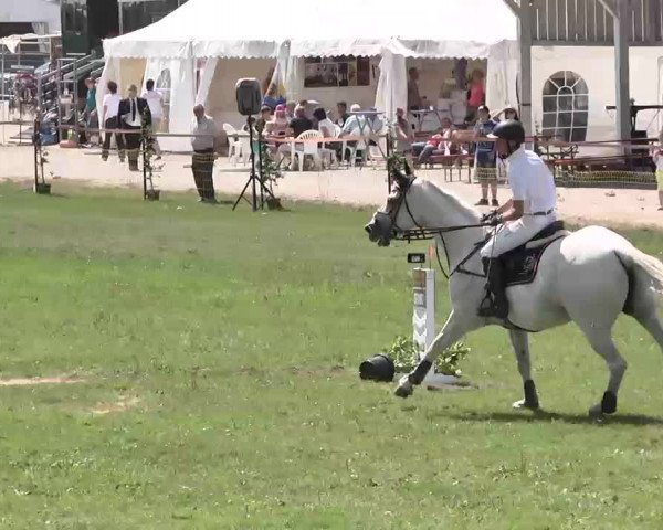55. Süddeutsche Championate - Scharlachrennen 2015