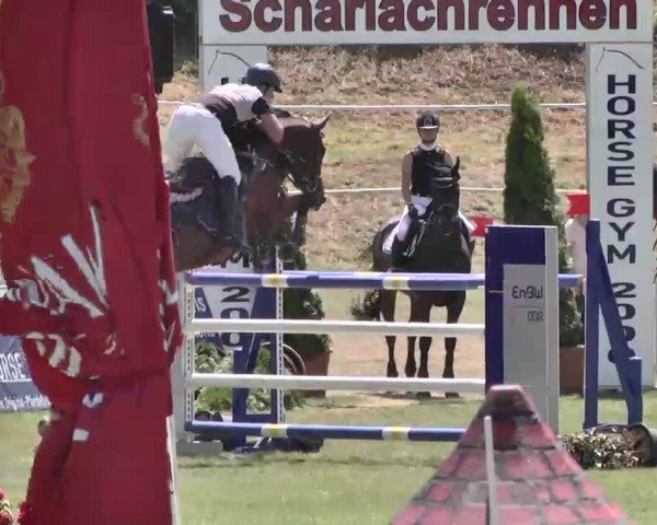 55. Süddeutsche Championate - Scharlachrennen 2015