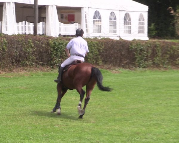 Reitturnier Vlotho-Exter 2015