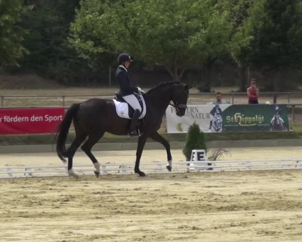 Reitturnier Schwanheim 2015