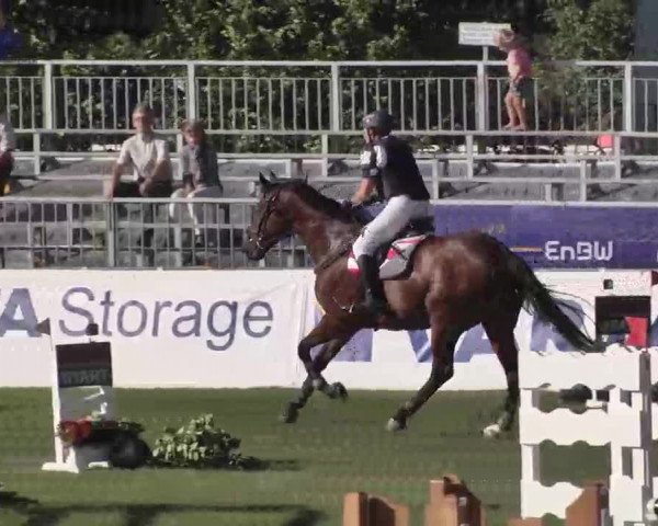 55. Süddeutsche Championate - Scharlachrennen 2015