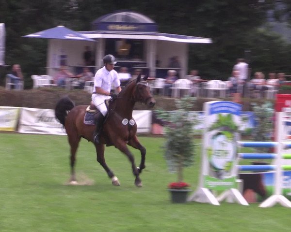 Reitturnier Vlotho-Exter 2015