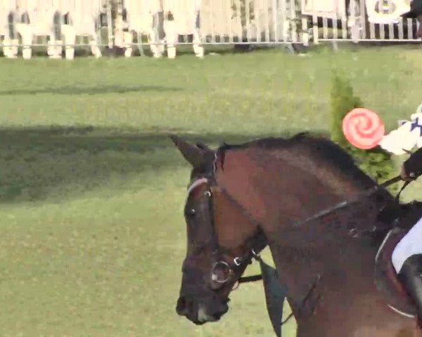 55. Süddeutsche Championate - Scharlachrennen 2015