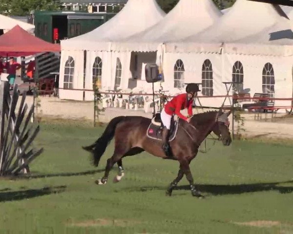 55. Süddeutsche Championate - Scharlachrennen 2015