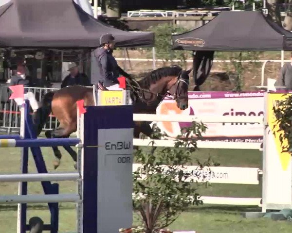 55. Süddeutsche Championate - Scharlachrennen 2015