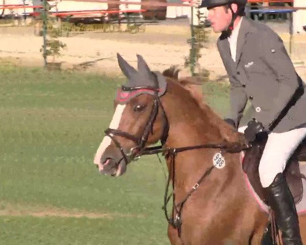 55. Süddeutsche Championate - Scharlachrennen 2015