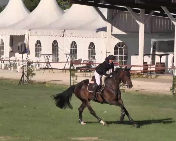 55. Süddeutsche Championate - Scharlachrennen 2015