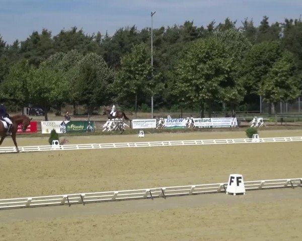Reitturnier Schwanheim 2015