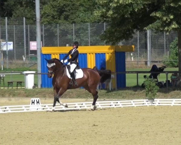Reitturnier Schwanheim 2015