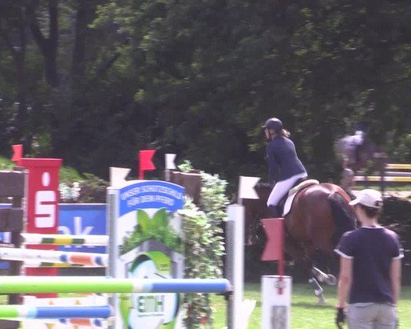 Reitturnier Vlotho-Exter 2015