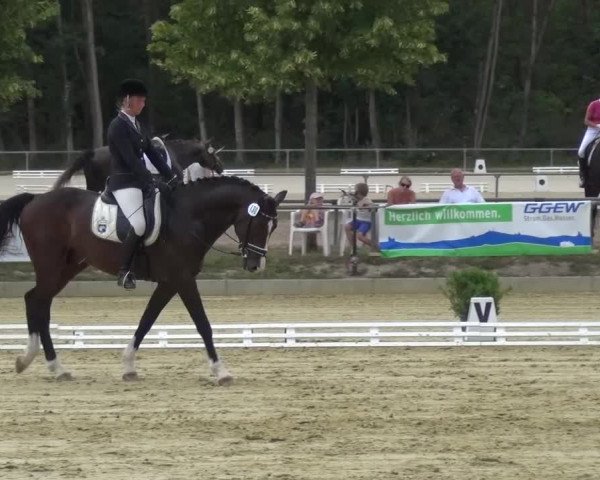 Reitturnier Schwanheim 2015