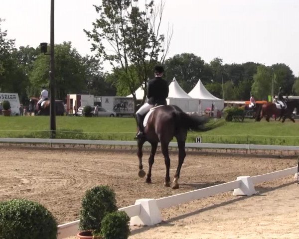 Vinnumer Reitertage 2015