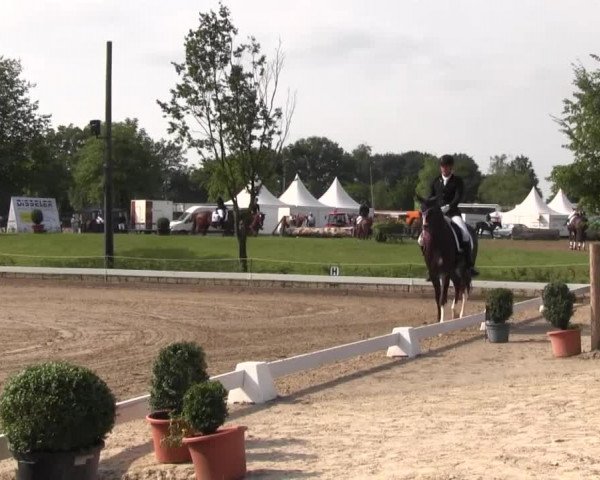 Vinnumer Reitertage 2015
