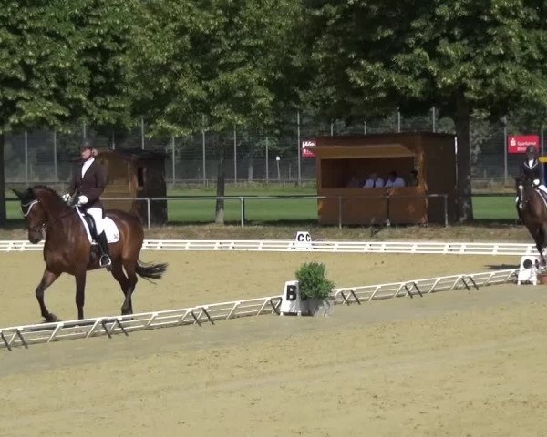 Reitturnier Schwanheim 2015