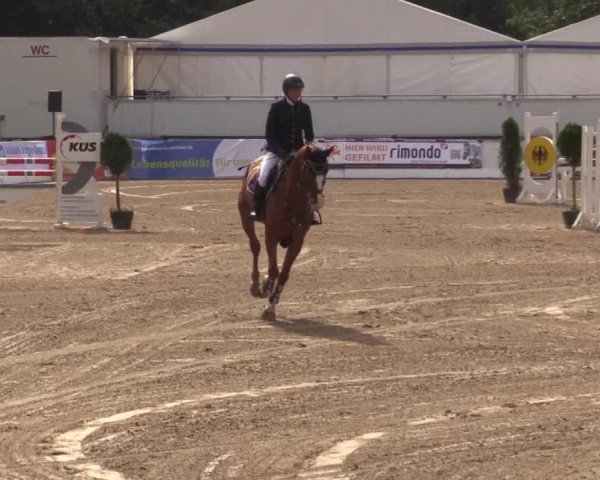 62. Lobbericher Reitsportfestival 2015
