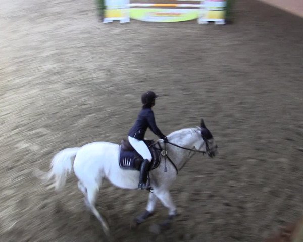 Reitturnier Herzebrock-Rheda 2021