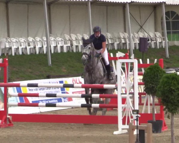 62. Lobbericher Reitsportfestival 2015