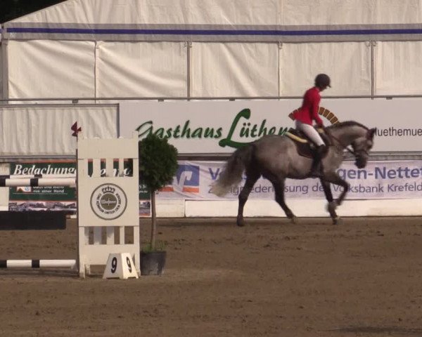 62. Lobbericher Reitsportfestival 2015