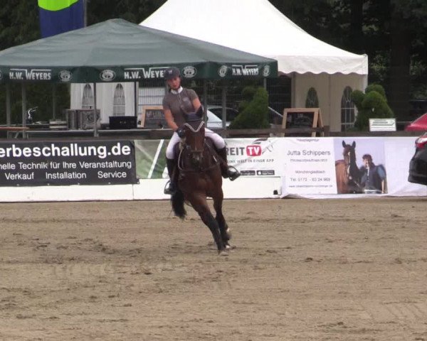 62. Lobbericher Reitsportfestival 2015