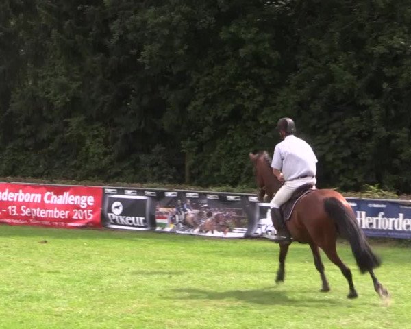 Reitturnier Vlotho-Exter 2015